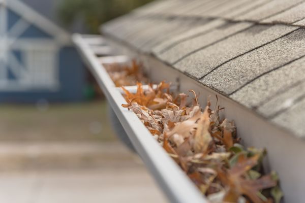 Leaf Barrier Installation in San Antonio